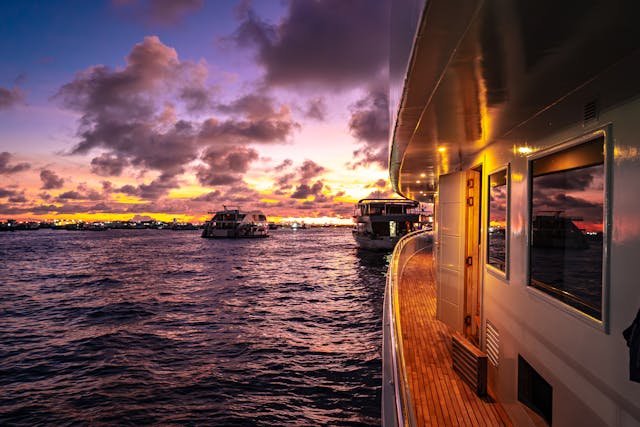 cruise party goa
